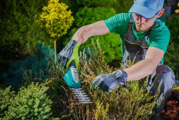 landscaping services Bayou Gauche